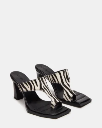 Alameda Zebra