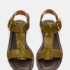 Brazinn Olive Brazinn Olive