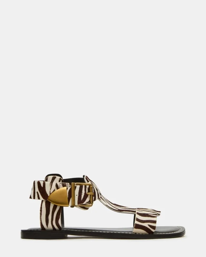 Brazinn Zebra Brazinn Zebra