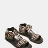 Brazinn Zebra Brazinn Zebra