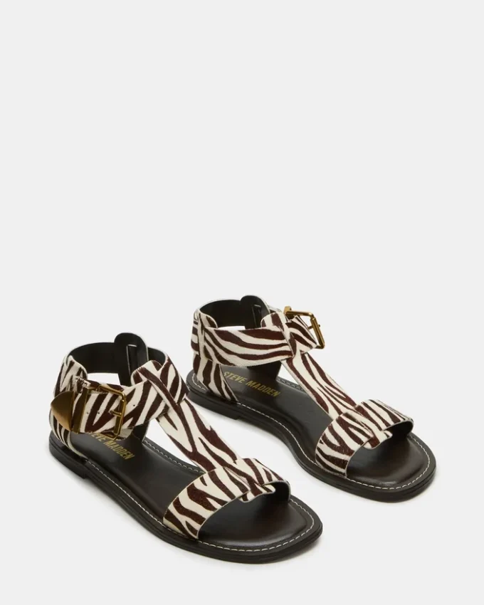 Brazinn Zebra Brazinn Zebra