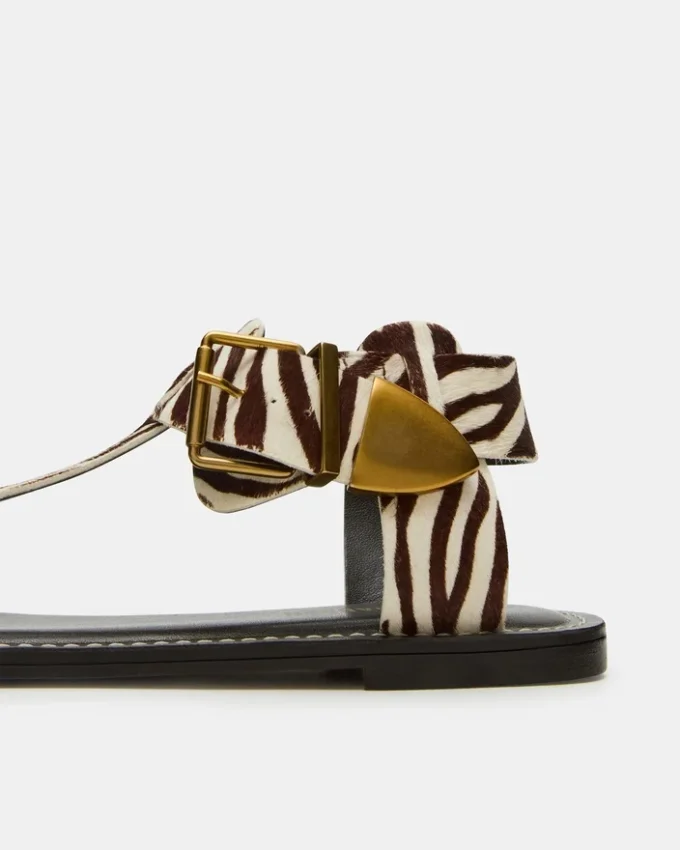 Brazinn Zebra Brazinn Zebra