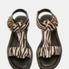 Brazinn Zebra Brazinn Zebra