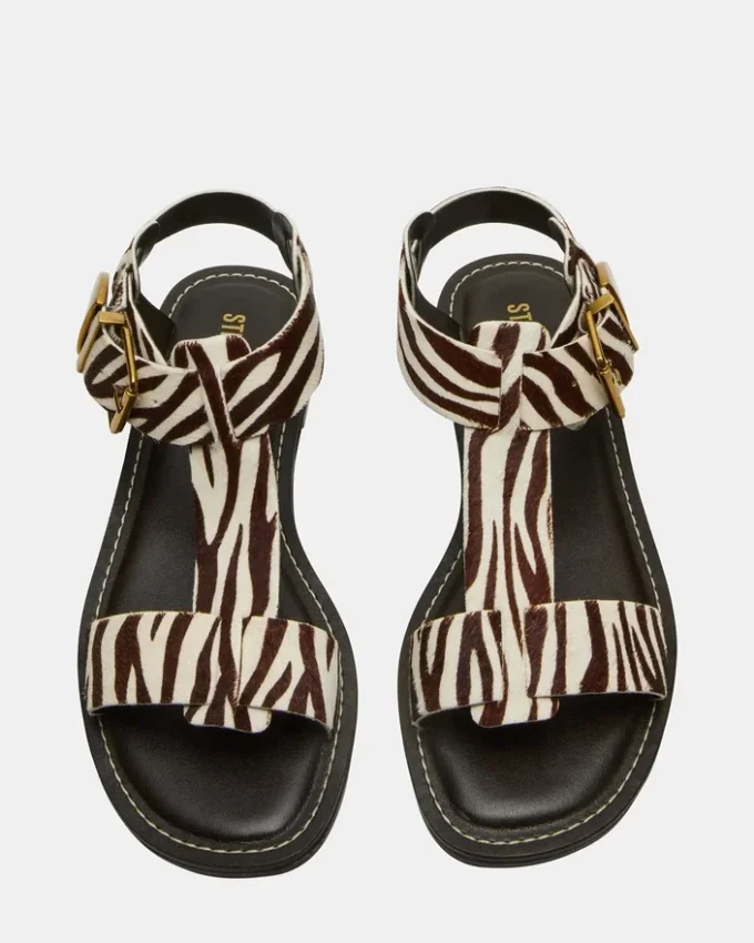 Brazinn Zebra Brazinn Zebra