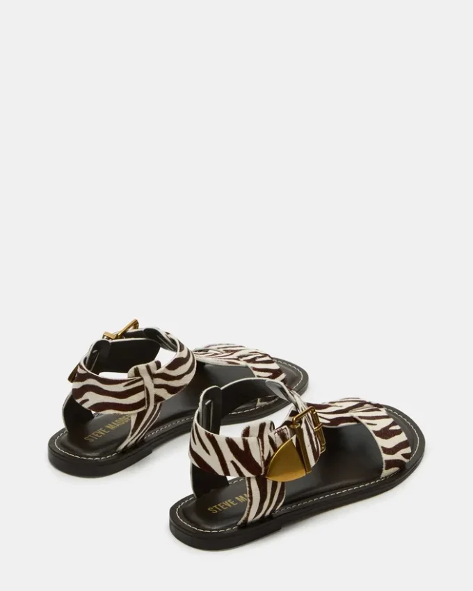 Brazinn Zebra Brazinn Zebra