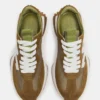 Campo Olive Multi Campo Olive Multi