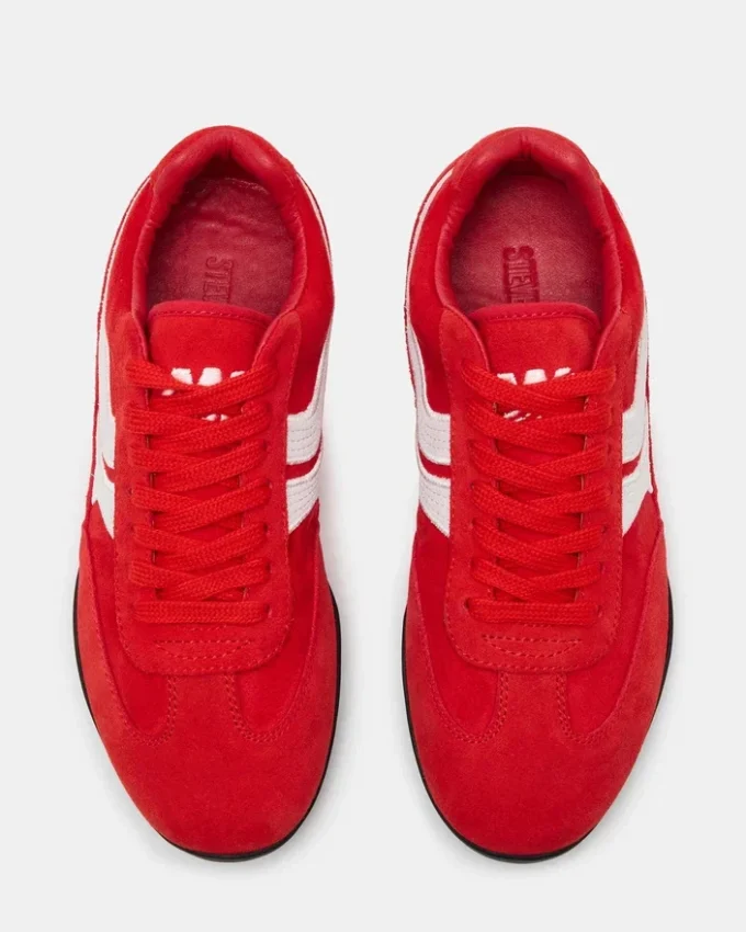 Dobson Rojo Dobson Rojo
