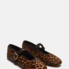 Dreaming Leopard Dreaming Leopard