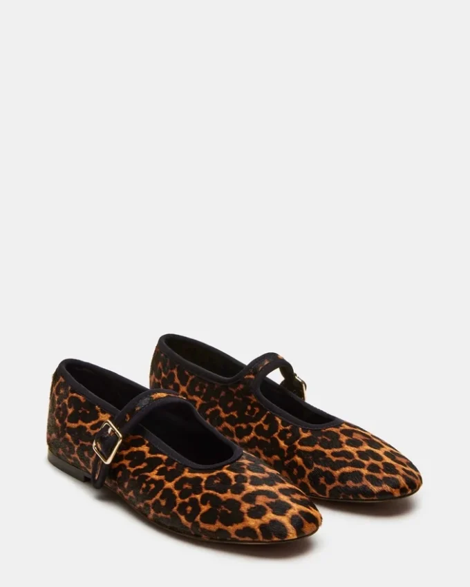 Dreaming Leopard Dreaming Leopard
