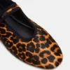 Dreaming Leopard Dreaming Leopard