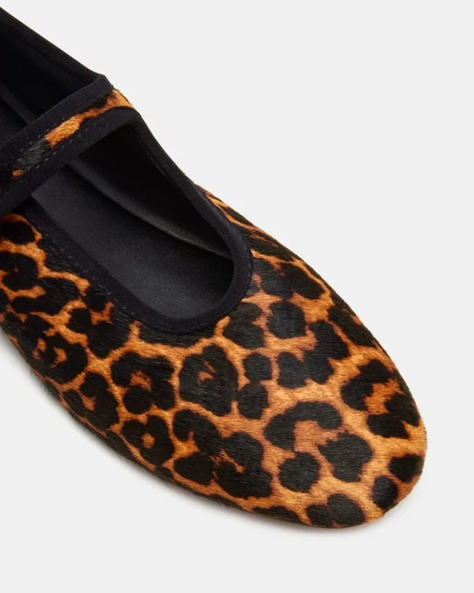 Dreaming Leopard Dreaming Leopard