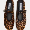 Dreaming Leopard Dreaming Leopard