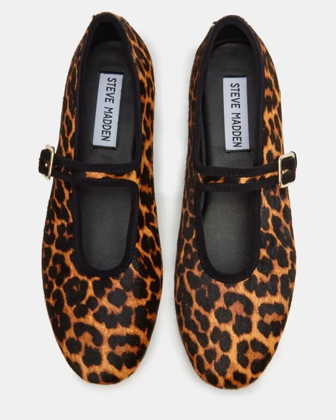 Dreaming Leopard Dreaming Leopard