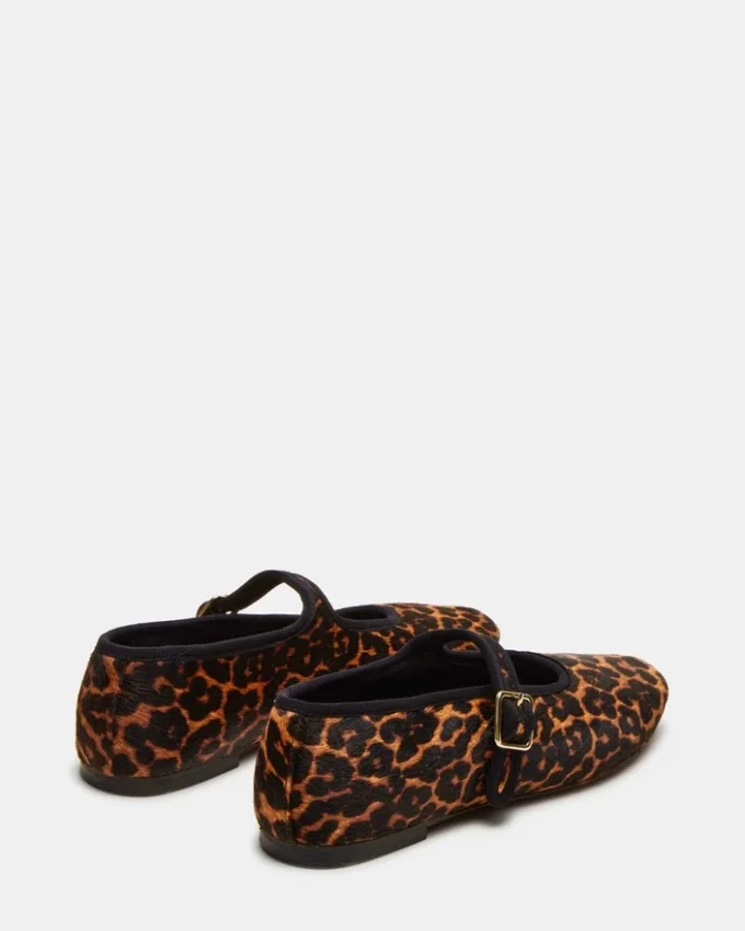 Dreaming Leopard Dreaming Leopard