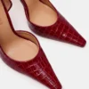 Elegante cocodrilo rojo Elegante cocodrilo rojo