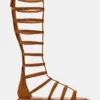 Gladius Chestnut Gladius Chestnut