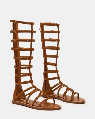 Gladius Chestnut
