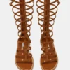 Gladius Chestnut Gladius Chestnut