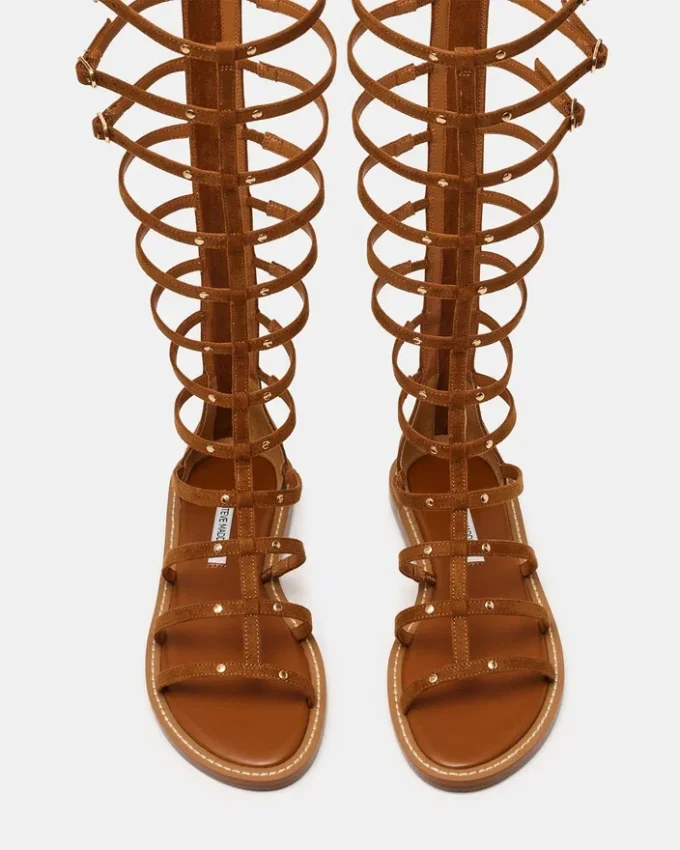 Gladius Chestnut Gladius Chestnut
