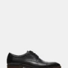 Hasen de cuero negro Hasen de cuero negro