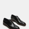 Hasen de cuero negro Hasen de cuero negro