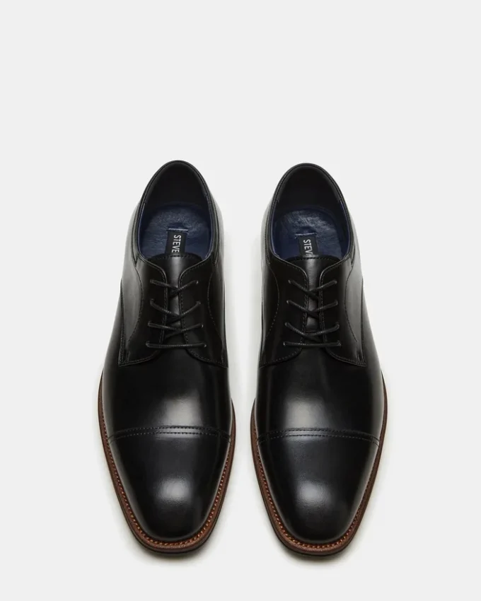 Hasen de cuero negro Hasen de cuero negro