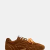 Midas Chestnut Midas Chestnut