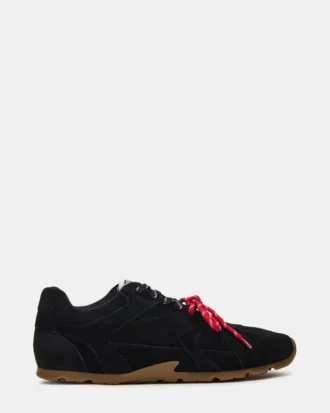 Midas Negro Multicolor