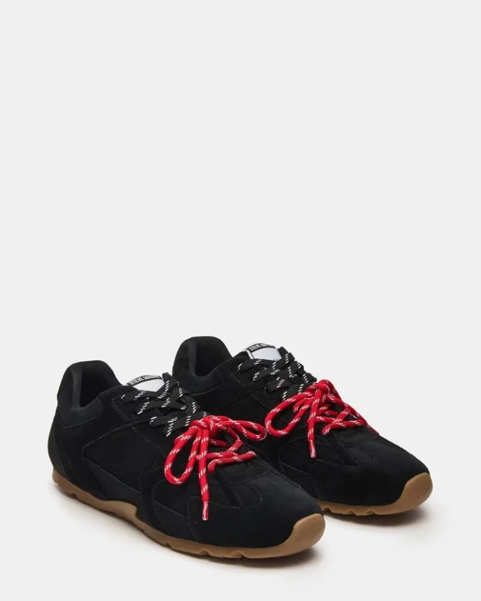 Midas Negro Multicolor Midas Negro Multicolor