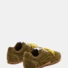 Midas Olive Midas Olive