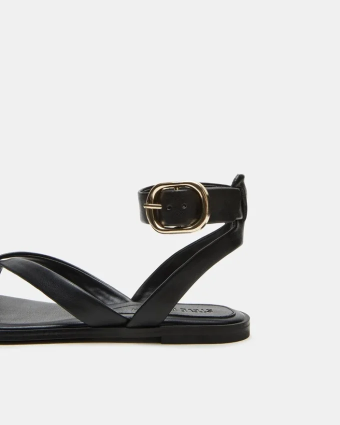 Nashira Negro Nashira Negro