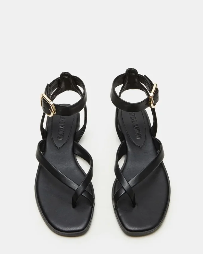 Nashira Negro Nashira Negro