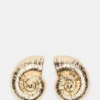 Pendientes con forma de concha de mar dorados Pendientes con forma de concha de mar dorados