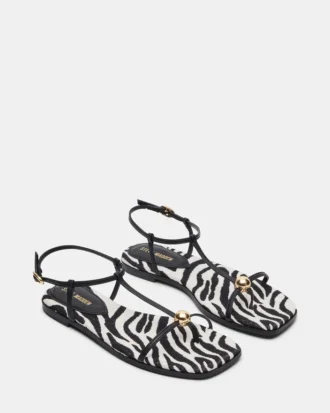 Ritzy Zebra