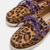 Sail Leopard Sail Leopard