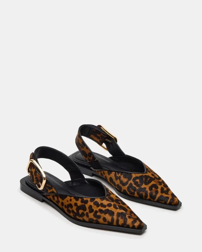Shay Leopard Shay Leopard