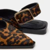 Shay Leopard Shay Leopard