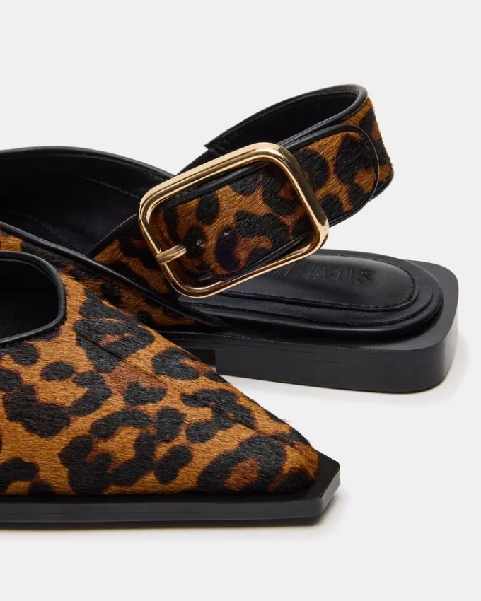 Shay Leopard Shay Leopard