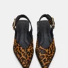 Shay Leopard Shay Leopard