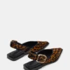 Shay Leopard Shay Leopard
