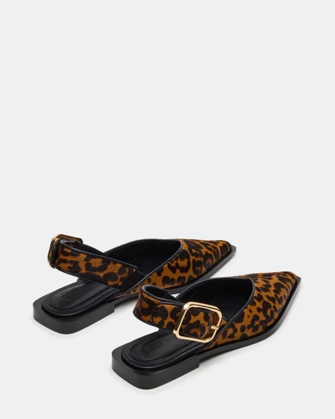 Shay Leopard Shay Leopard