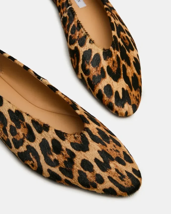 Swanky Leopard Swanky Leopard