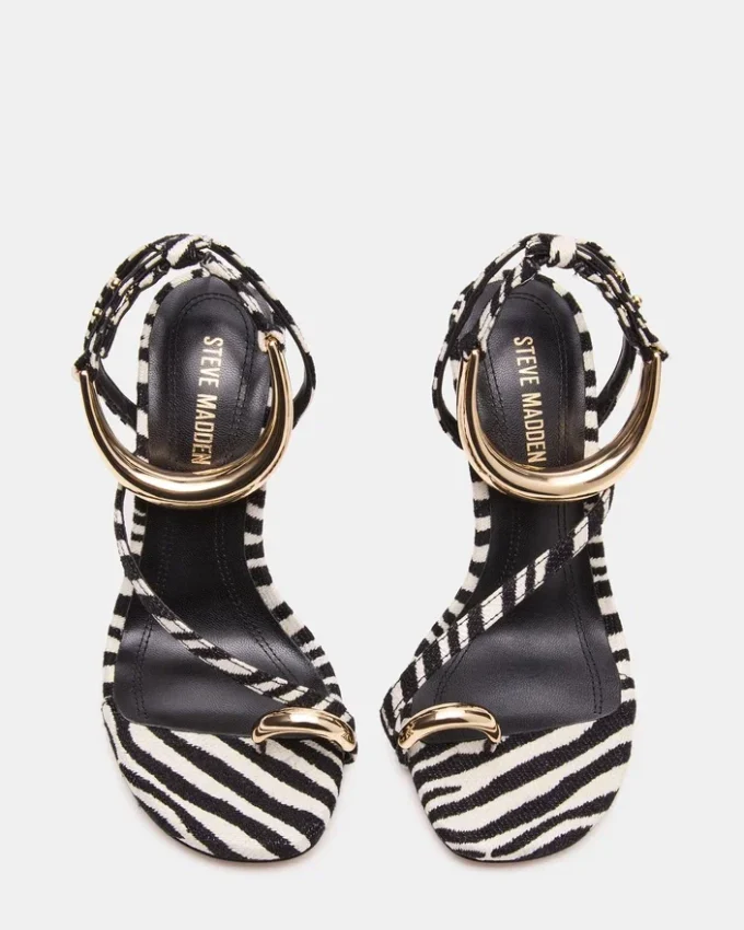 Tia Zebra Tia Zebra
