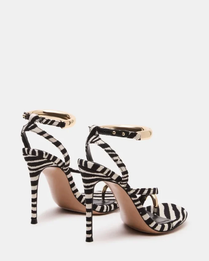 Tia Zebra Tia Zebra